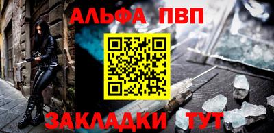 тгк Кингисепп