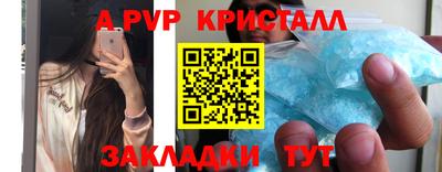 тгк Кингисепп