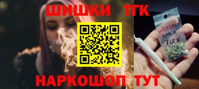тгк Кингисепп