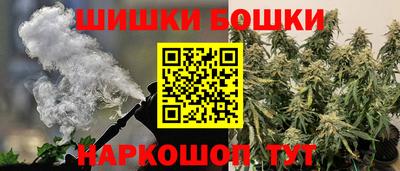 тгк Кингисепп