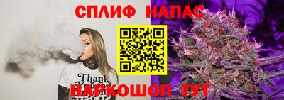 МДПВ Кунгур