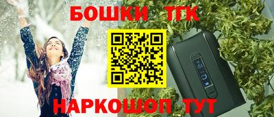 тгк Кингисепп