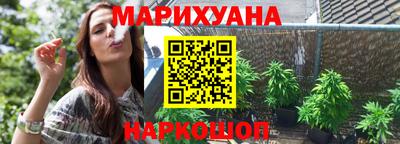 тгк Кингисепп