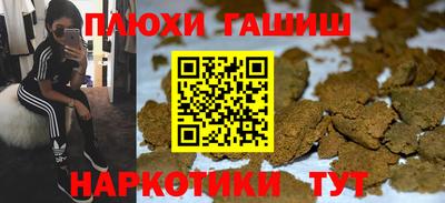 тгк Кингисепп