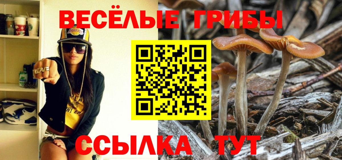 Галлюциногенные грибы ЛСД  Вход с VPN  Уссурийск 